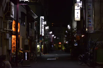 DSC_3982 (Large).JPG